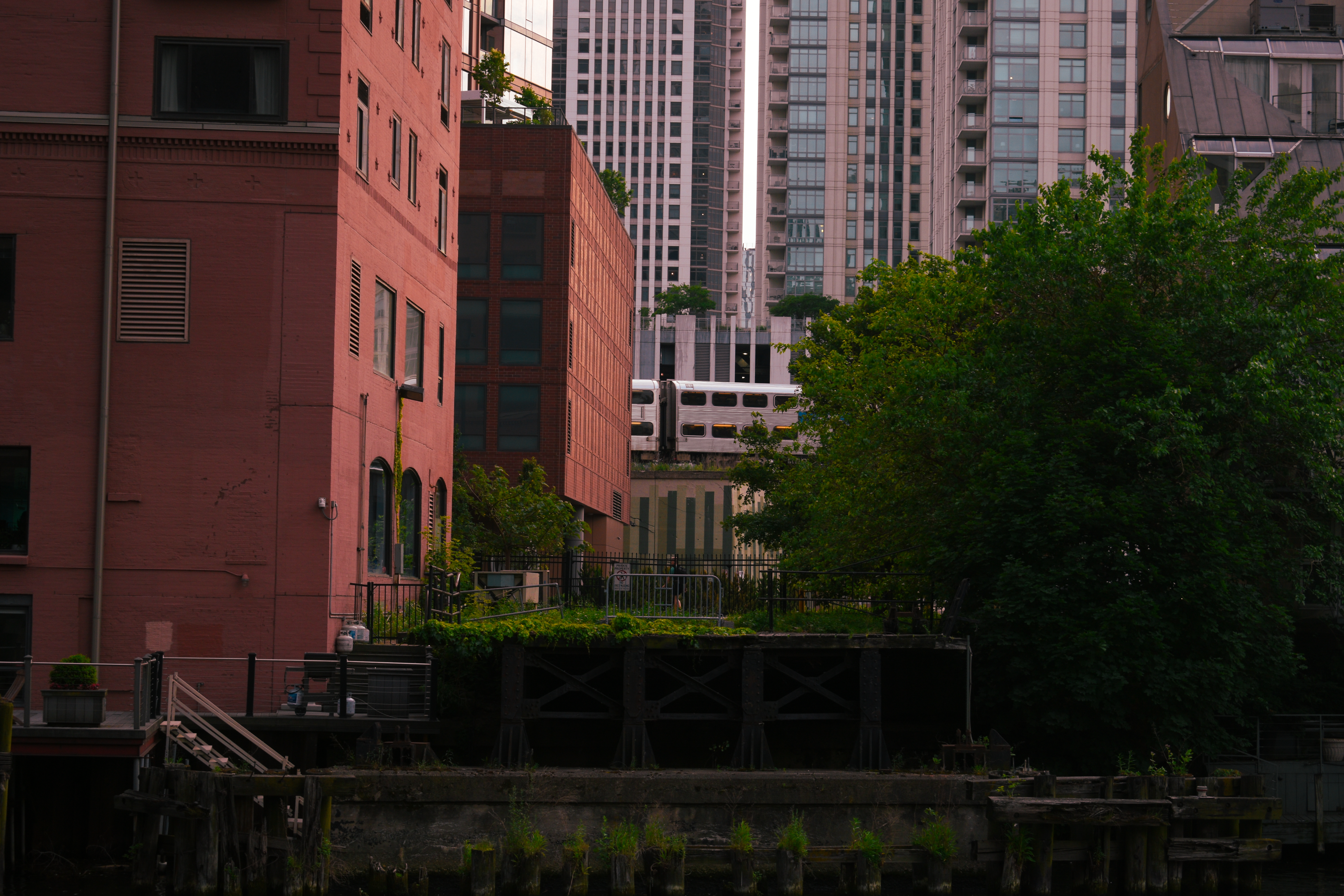 Train moving through downtown buildings and trees